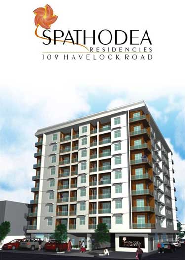 Spathodea