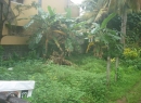Kotte Bare Land for sale/rent