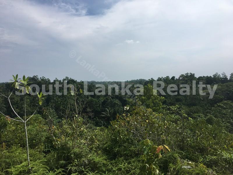  Bare Land for sale/rent