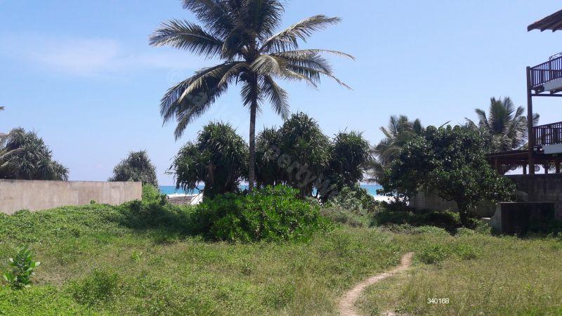  Beachfront land for sale/rent