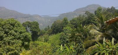 Tea lands for sale in Sri Lanka | House.lk