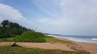 Beachfront lands for sale in Sri Lanka | House.lk