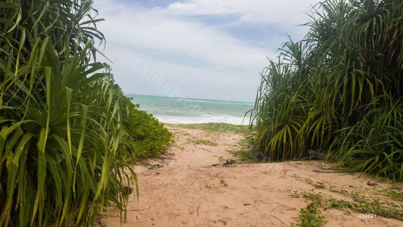  Beachfront land for sale/rent