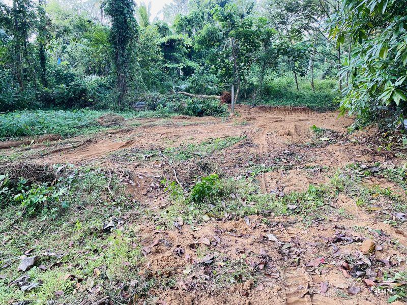 Homagama Bare Land for sale/rent