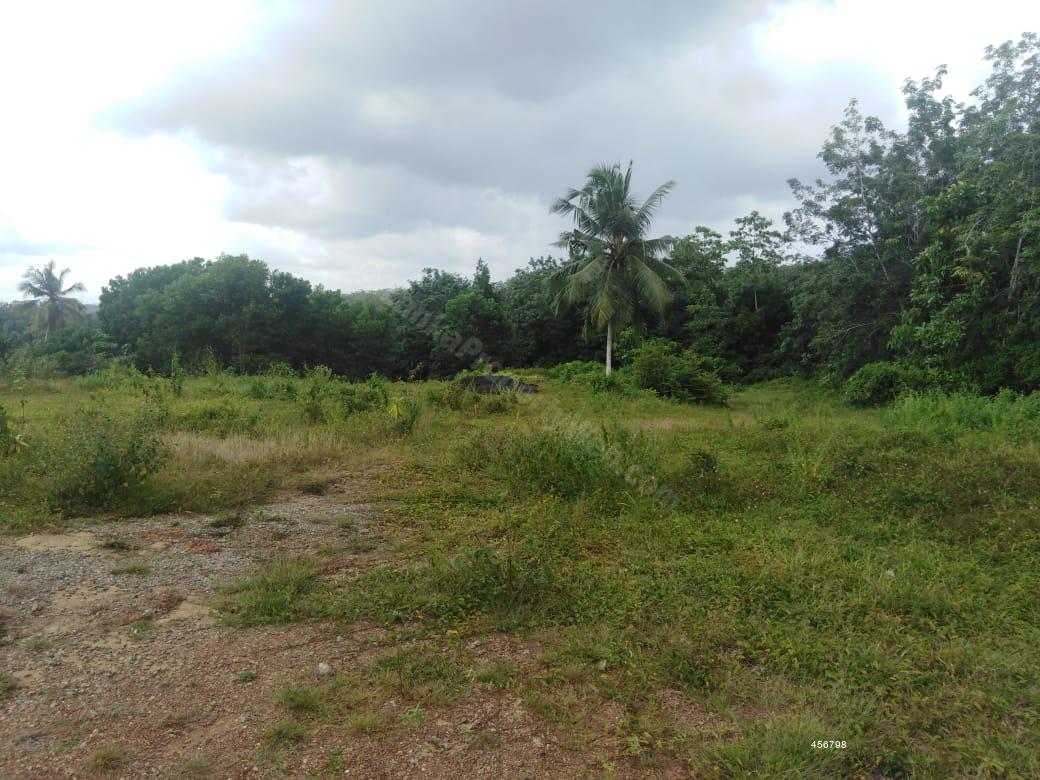  Bare Land for sale/rent