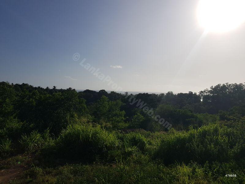  Beachfront land for sale/rent