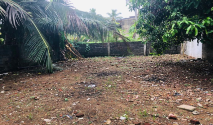 Lands for Sale in Sri Lanka (10794+) | LankaPropertyWeb