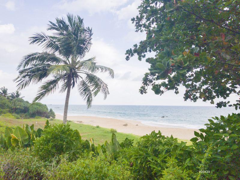  Beachfront land for sale/rent