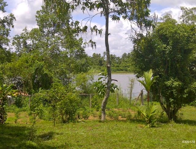  Waterfront land for sale/rent