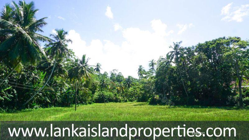  Bare Land for sale/rent