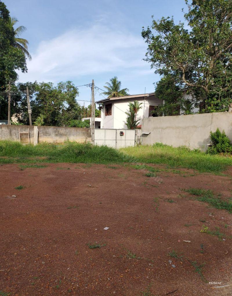  Bare Land for sale/rent