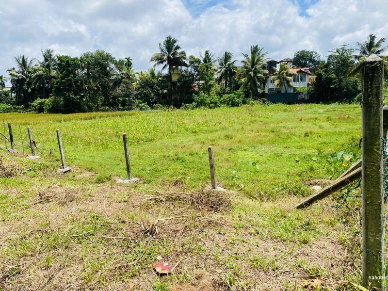  Bare Land for sale/rent