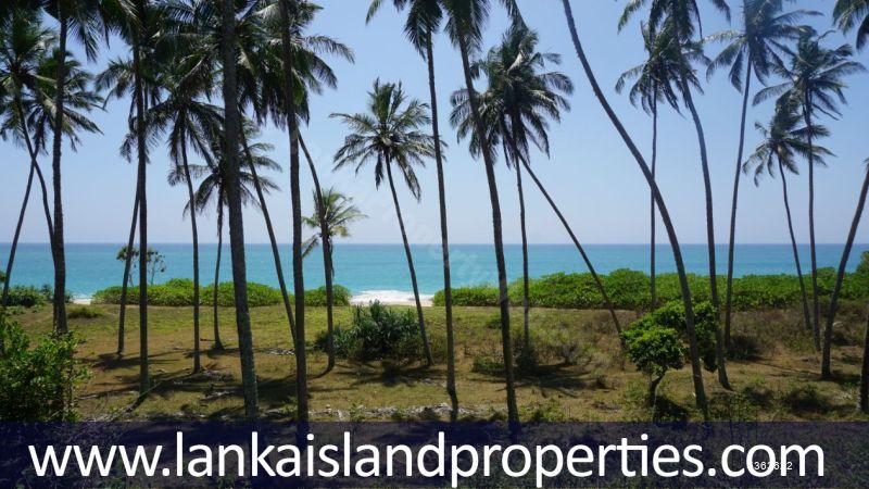  Beachfront land for sale/rent