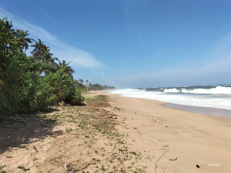  Beachfront land for sale/rent