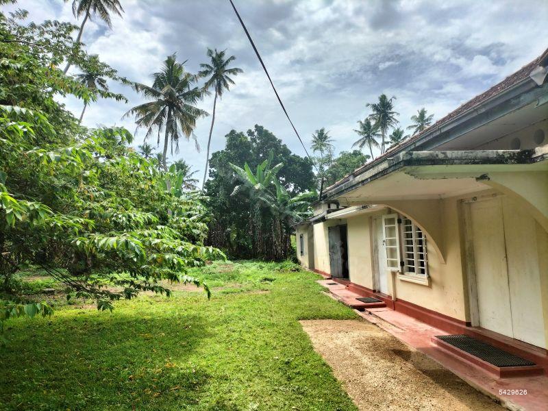  Land with house for sale/rent