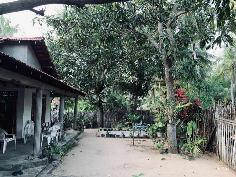 Land with house for sale in Kalpitiya 3 Bedroom House With 40 Perch Coconut Land Close to