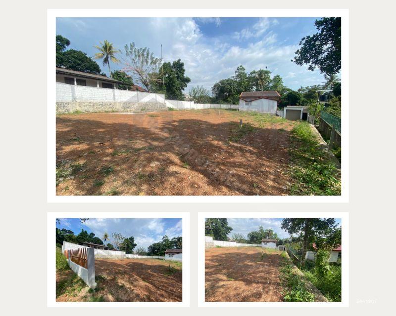  Bare Land for sale/rent