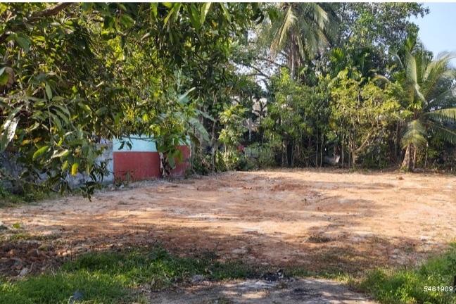  Bare Land for sale/rent