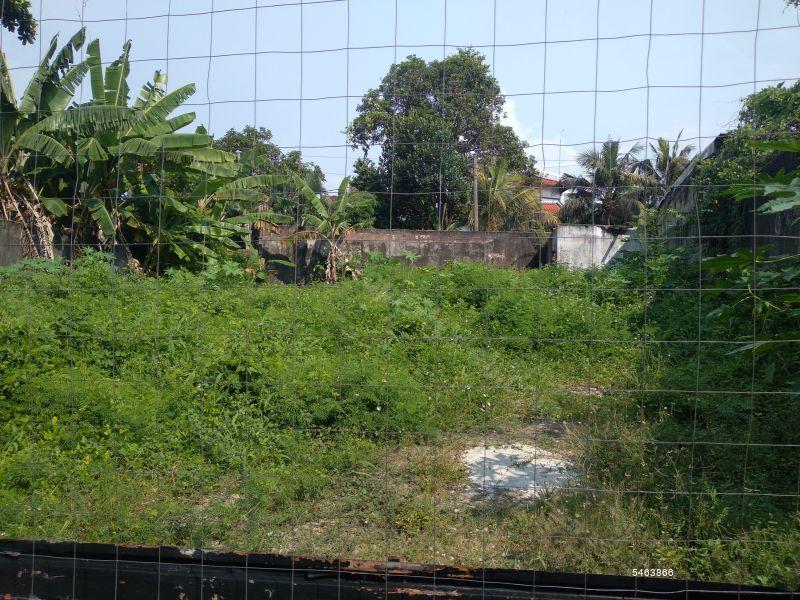  Bare Land for sale/rent