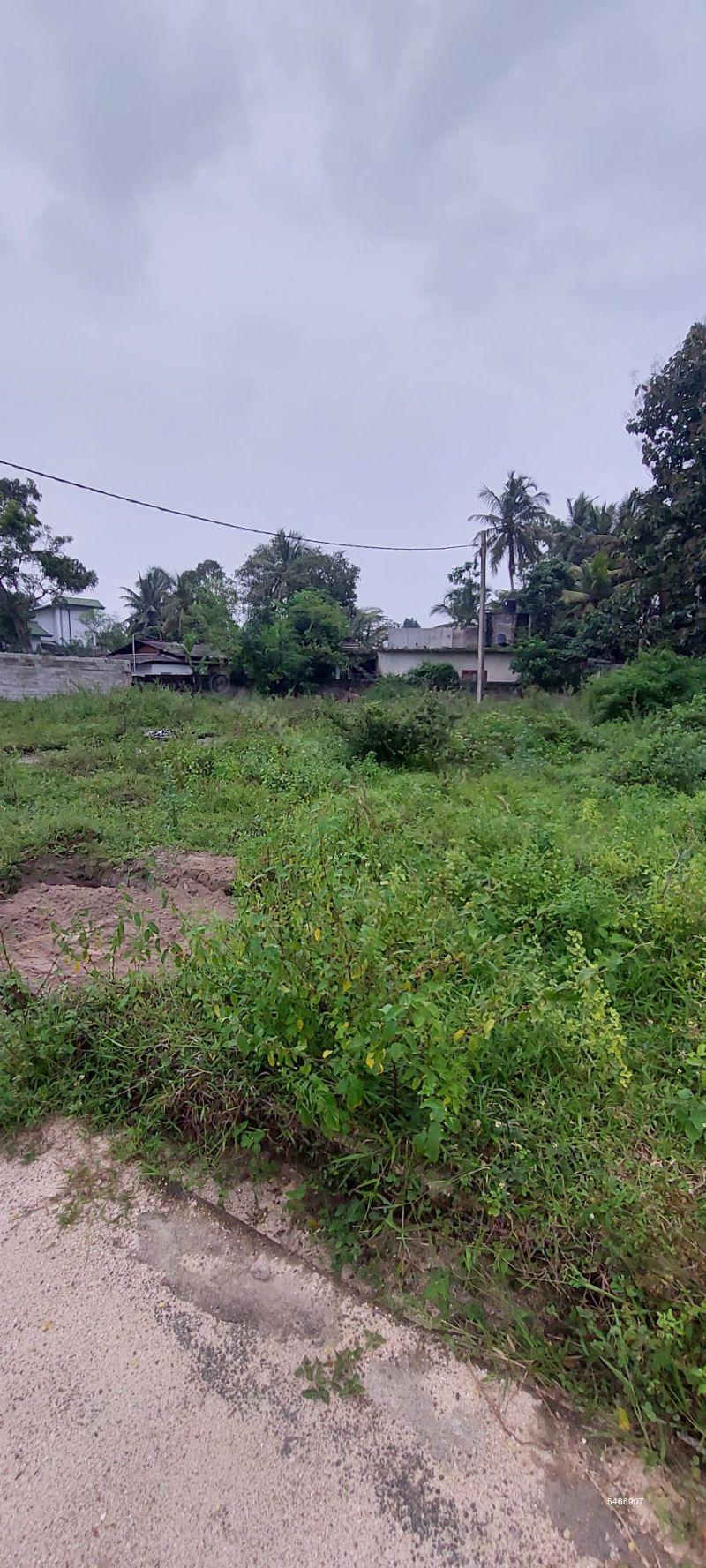 bare-land-for-sale-in-seeduwa-10-perches-bare-land-for-sale-in