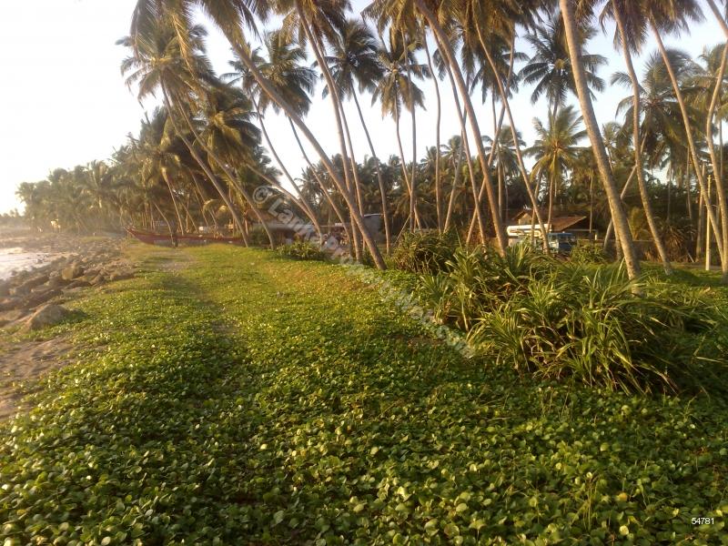  Beachfront land for sale/rent