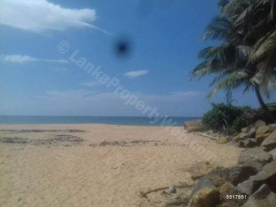  Beachfront land for sale/rent