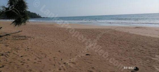  Beachfront land for sale/rent