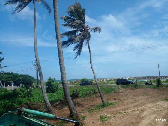  Beachfront land for sale/rent