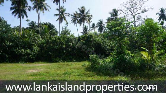  Bare Land for sale/rent