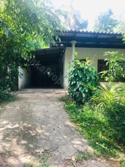  Land with house for sale/rent