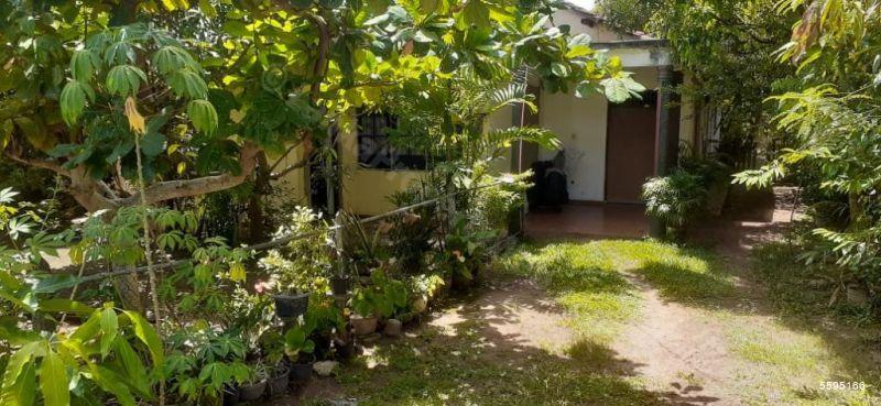  Land with house for sale/rent