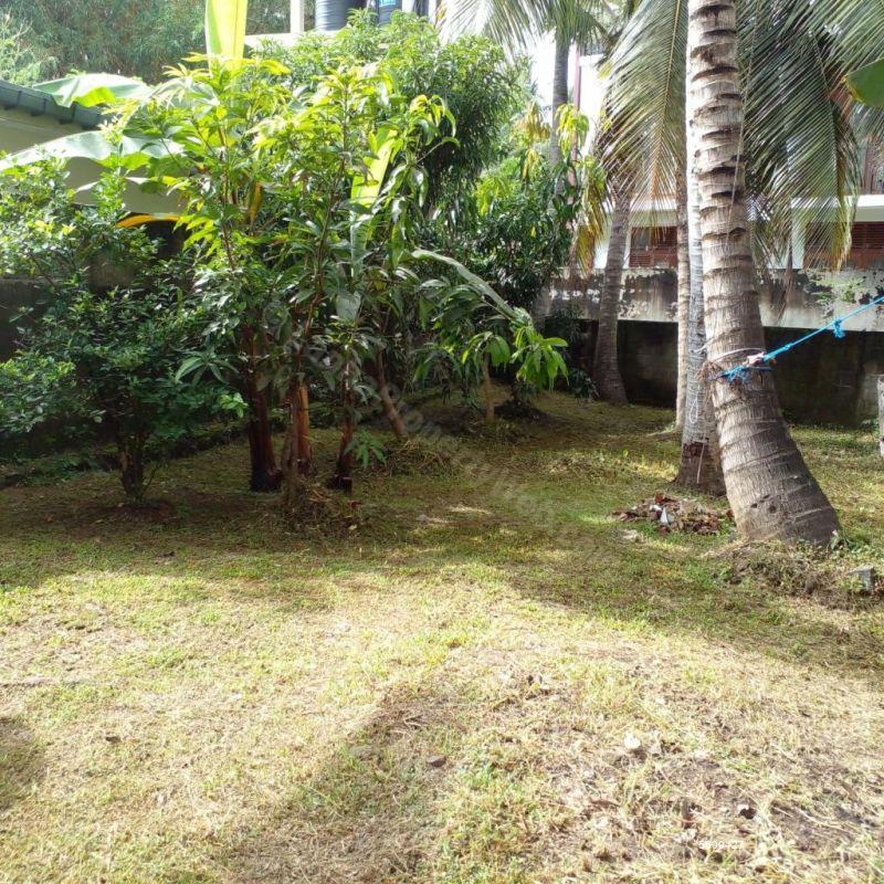  Bare Land for sale/rent