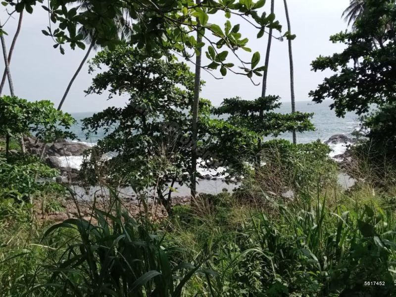  Beachfront land for sale/rent