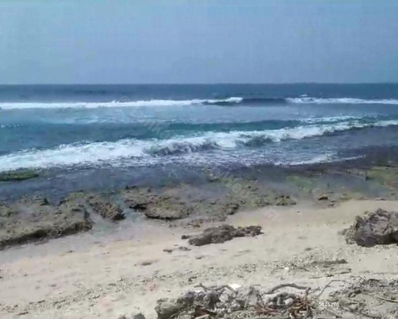  Beachfront land for sale/rent