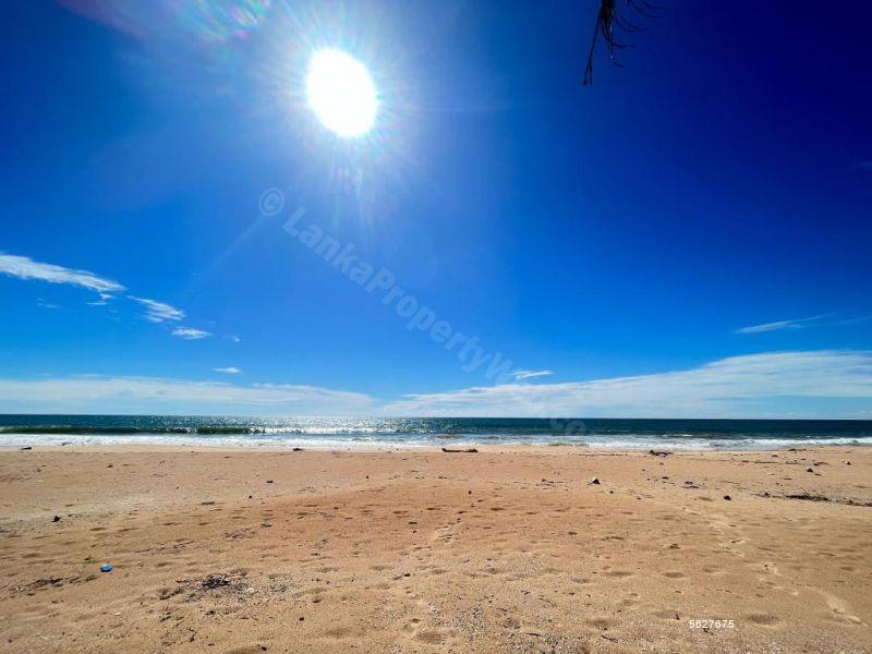  Beachfront land for sale/rent