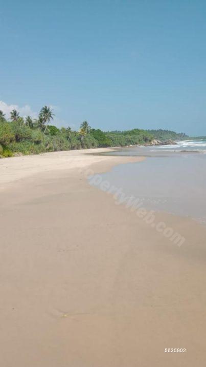  Beachfront land for sale/rent