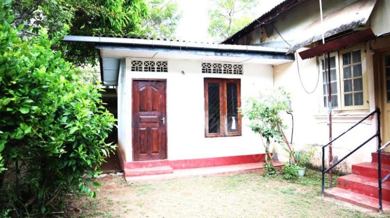  Land with house for sale/rent