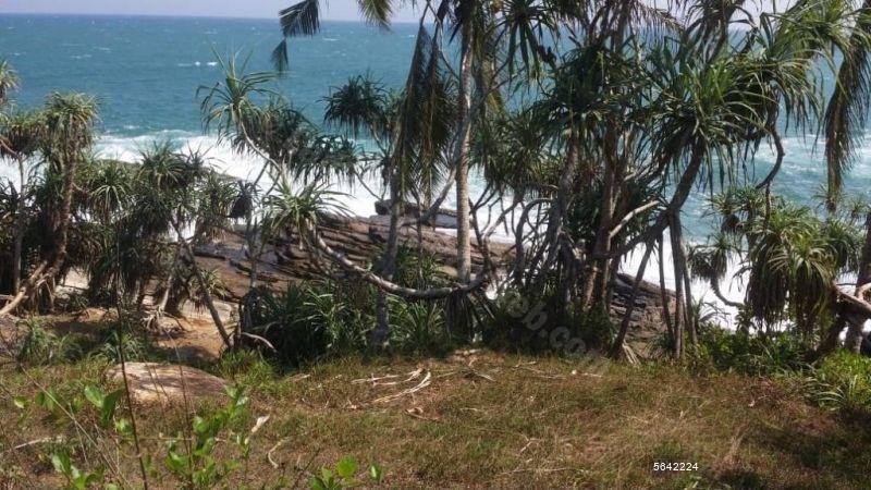  Beachfront land for sale/rent