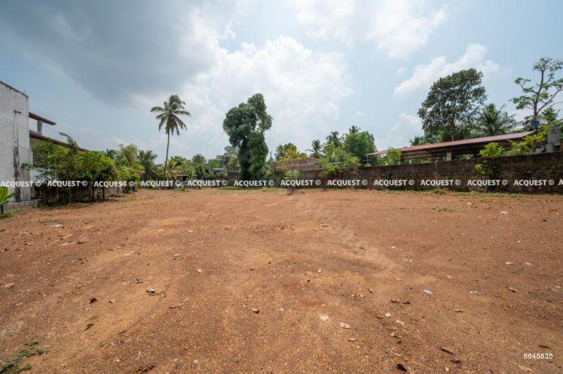  Bare Land for sale/rent