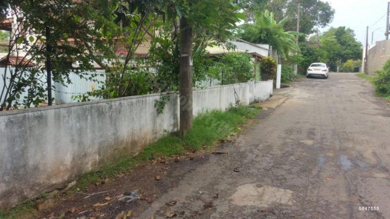  Land with house for sale/rent