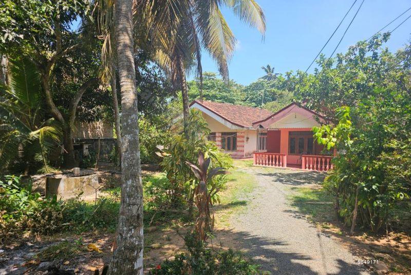  Land with house for sale/rent