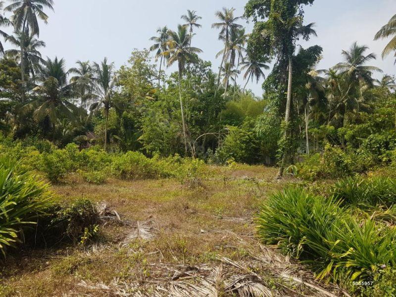  Bare Land for sale/rent