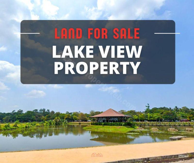  Waterfront land for sale/rent