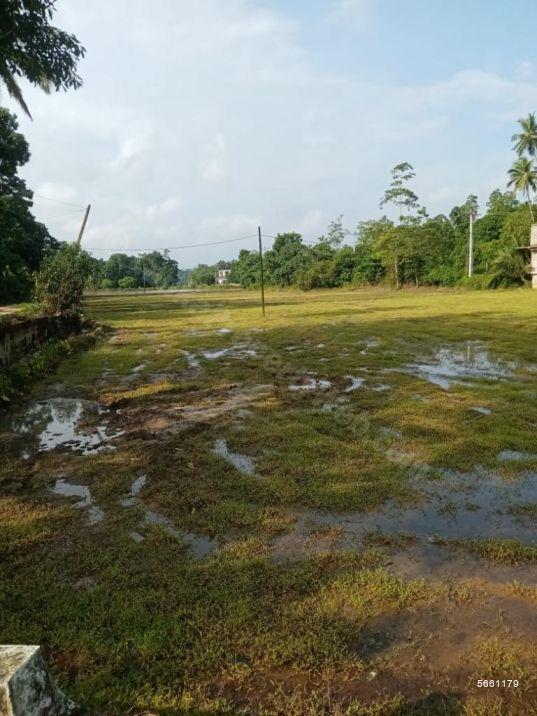  Bare Land for sale/rent