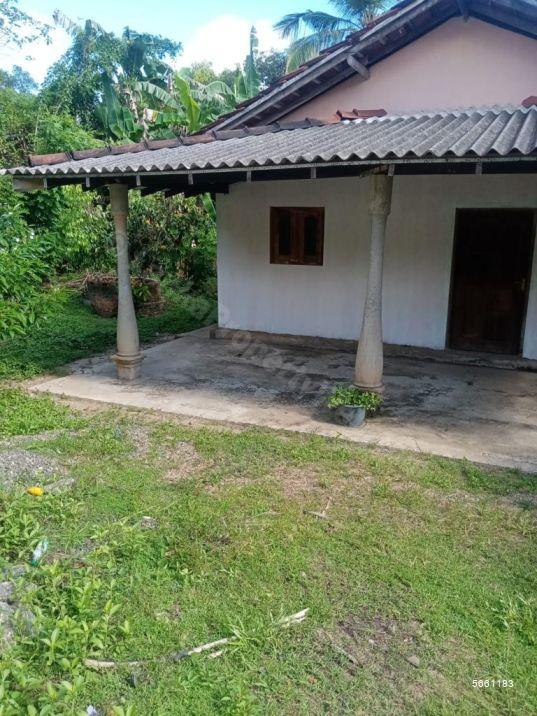  House for sale/rent