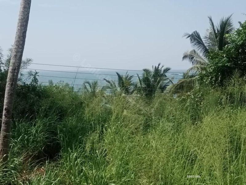  Beachfront land for sale/rent