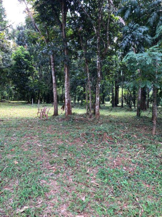  Bare Land for sale/rent