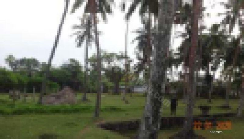  Beachfront land for sale/rent