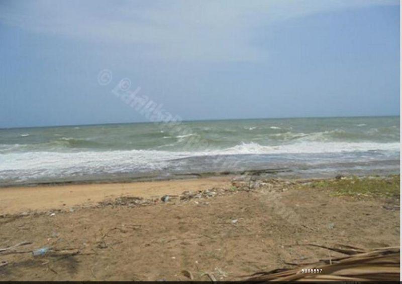  Beachfront land for sale/rent