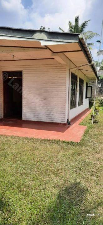  Land with house for sale/rent